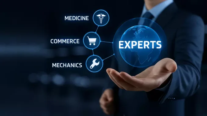 Experts Experts